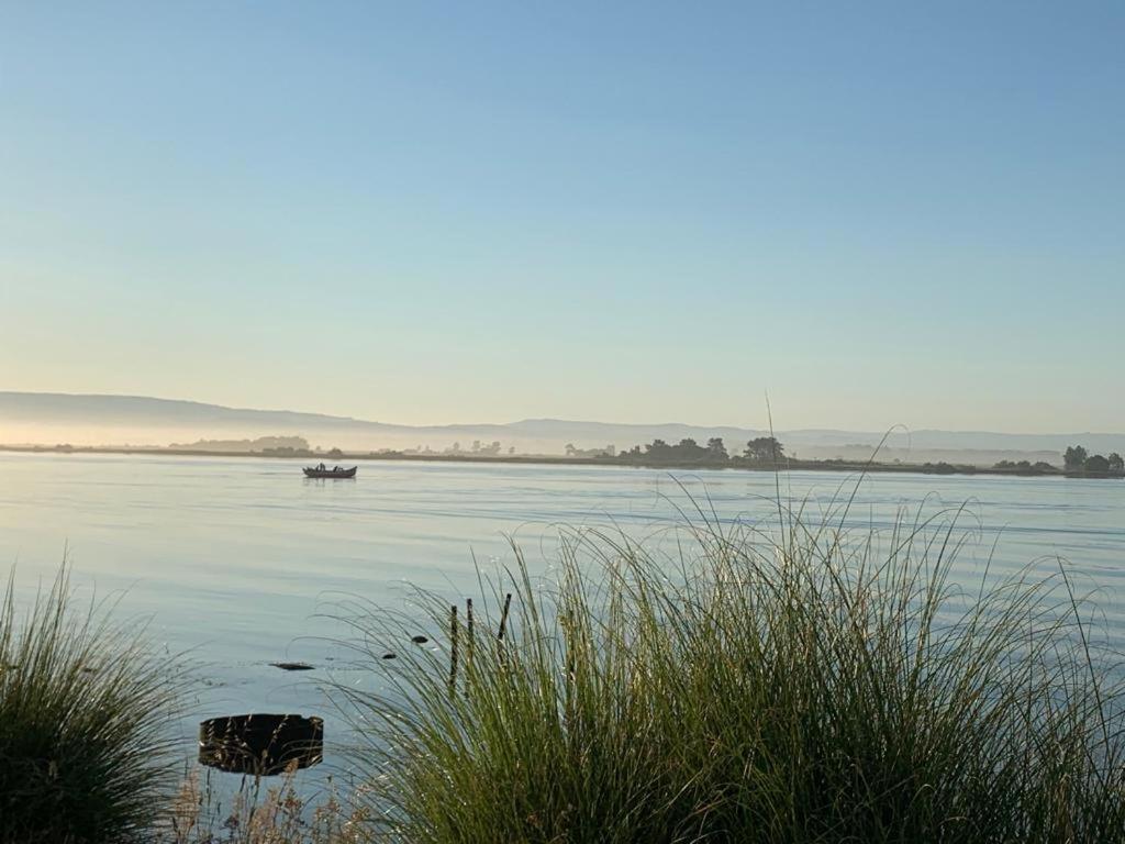 O Cantinho Entre A Ria E O Mar - With Hot Water Pool All Year Round Торрейра Екстер'єр фото