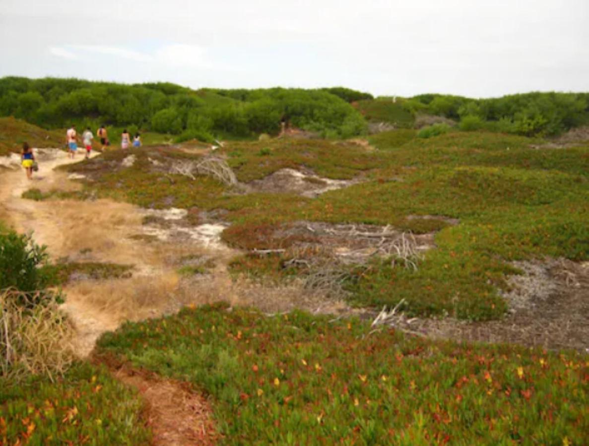 O Cantinho Entre A Ria E O Mar - With Hot Water Pool All Year Round Торрейра Екстер'єр фото